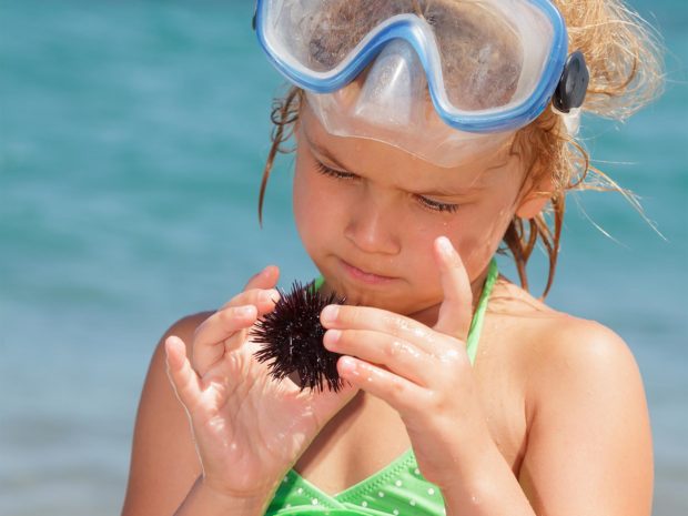 bambina con maschera subacquea in testa gioca con un riccio di mare