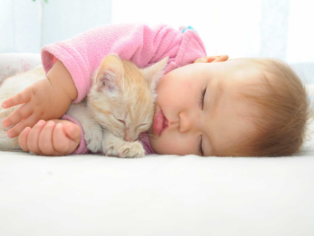 neonato dorme abbracciato ad un gatto